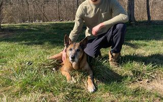 2024 Paws of Honor Update: K9 Bubba
