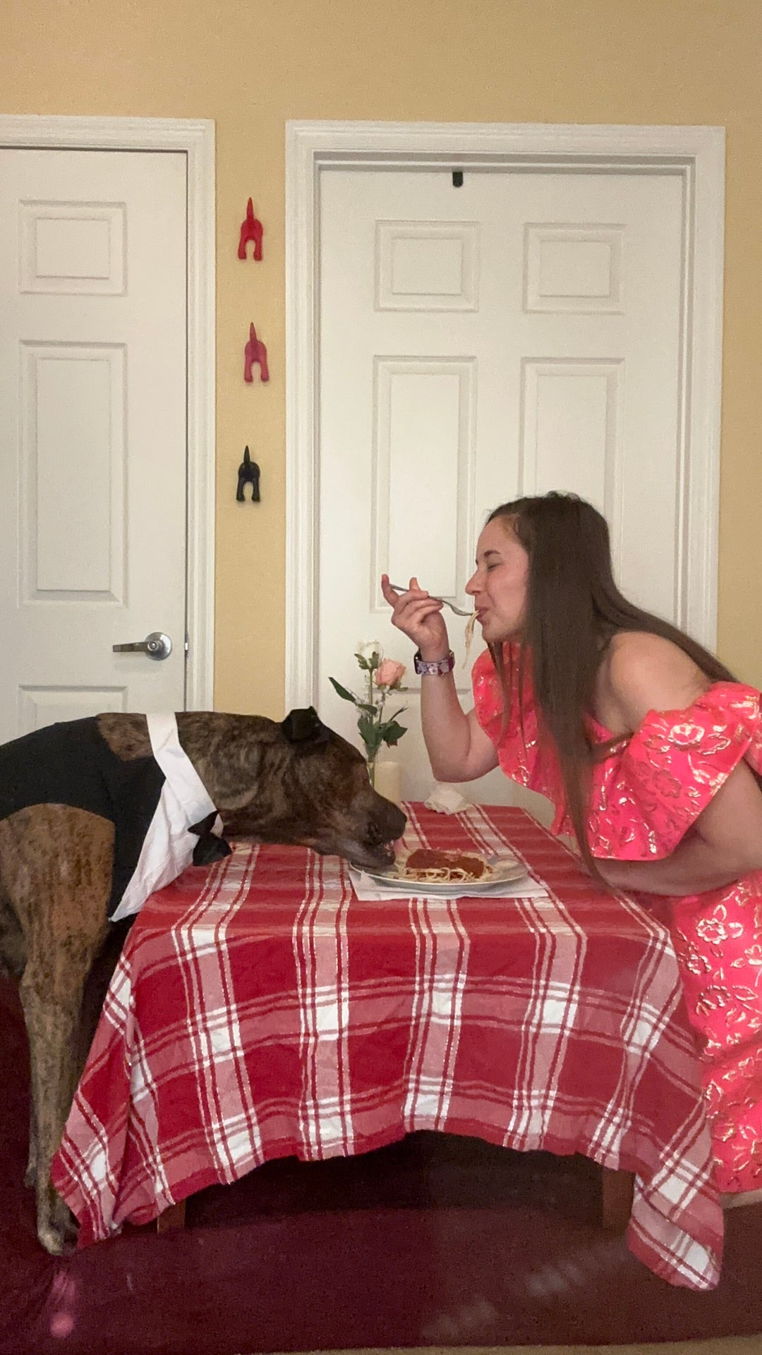 Unleashing Fun: Annual Doggy Date Night with Big Barker