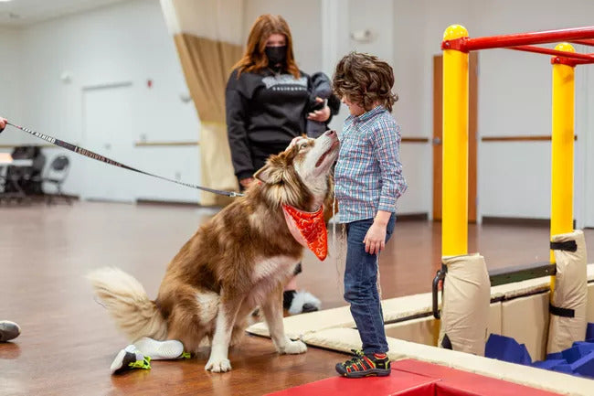Disabled Rescue Canine Helping Others as a Therapy Dog