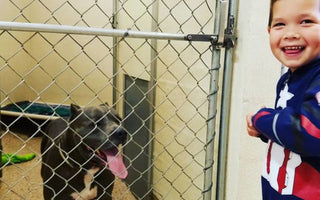 4 Year Old Sponsors Adoption of 2 Rescue Dogs with His Allowance