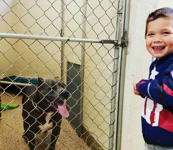 4 Year Old Sponsors Adoption of 2 Rescue Dogs with His Allowance