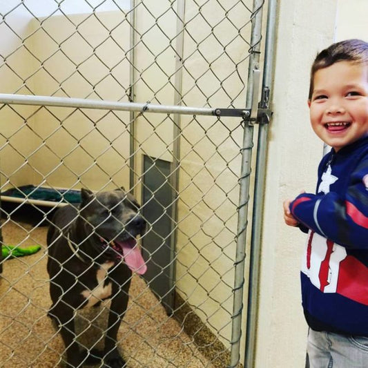 4 Year Old Sponsors Adoption of 2 Rescue Dogs with His Allowance