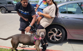 Family Reunited with Lost Dog After One Year Missing