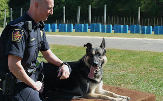 Lock Him Up! The K9 Who Steals His Partner's Morning Cup of Coffee: Officer Howells and K9 Fedor