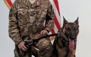 K9 Mark: Paws of Honor