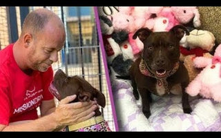 Kansas Man Moves Into Animal Shelter to Help Dog Get Adopted