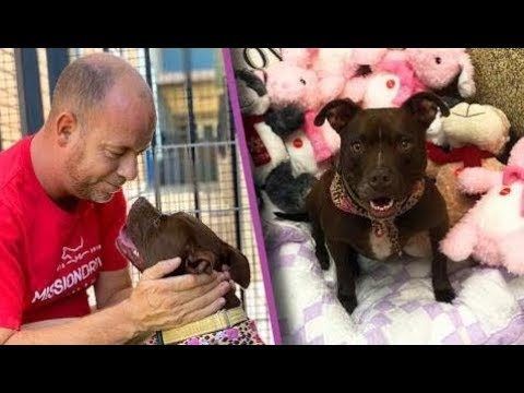 Kansas Man Moves Into Animal Shelter to Help Dog Get Adopted
