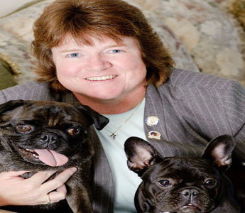 What's the Link Between Nutrition and Your Dog's Arthritis? Find Out Here!
