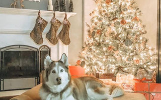 Happy Howlidays 2020!