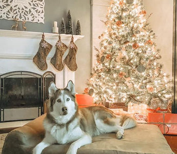 Happy Howlidays 2020!