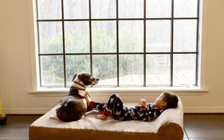Top 10 Favorite Ways to Spend Time with Your Dog