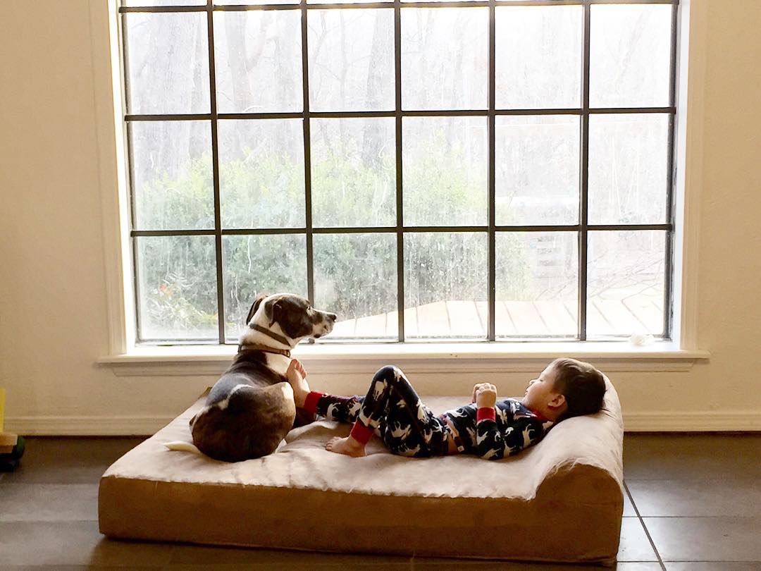 Top 10 Favorite Ways to Spend Time with Your Dog