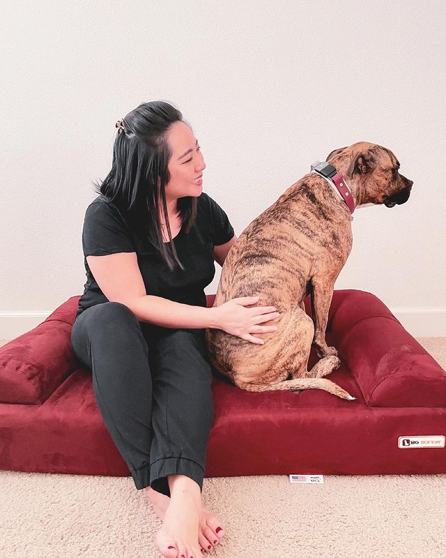 Wait… Who’s on a Big Barker Bed?