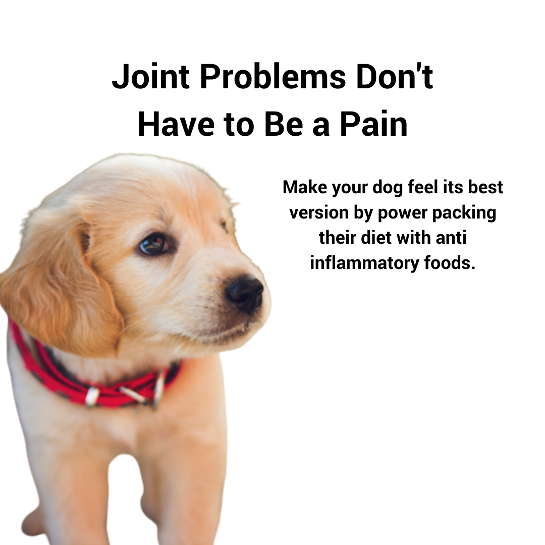 Joint Problems Don't Have To Be A Pain