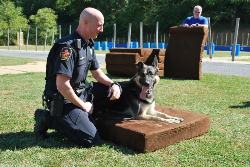 Lehigh Valley K9 Units Receive New Big Barker Beds