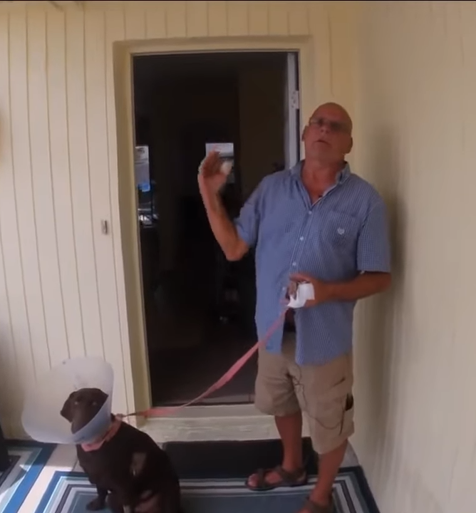 Florida Man Fights Alligator After It Snatches His Dog