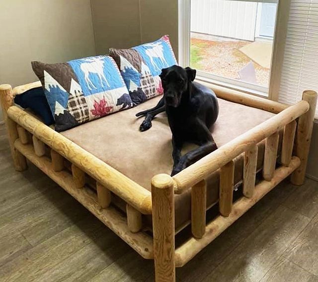 10 Impressive Dog Bed Frames