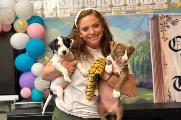 First Graders Foster Over 100 Puppies and Transform Lives