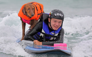 Ricochet the Surfing Dog Helps Surfers with Disabilities to Keep on Riding