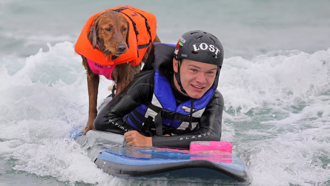 Ricochet the Surfing Dog Helps Surfers with Disabilities to Keep on Riding