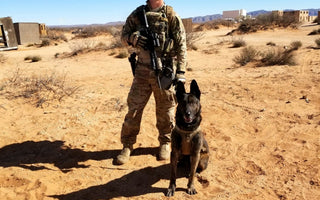 Paws of Honor: Meet Ronni
