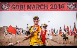 Runner Ends Up Adopting Stray Dog Who Ran 77 Miles of Grueling Marathon With Him
