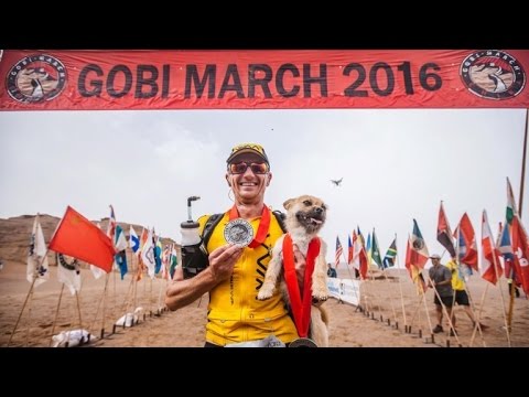 Runner Ends Up Adopting Stray Dog Who Ran 77 Miles of Grueling Marathon With Him