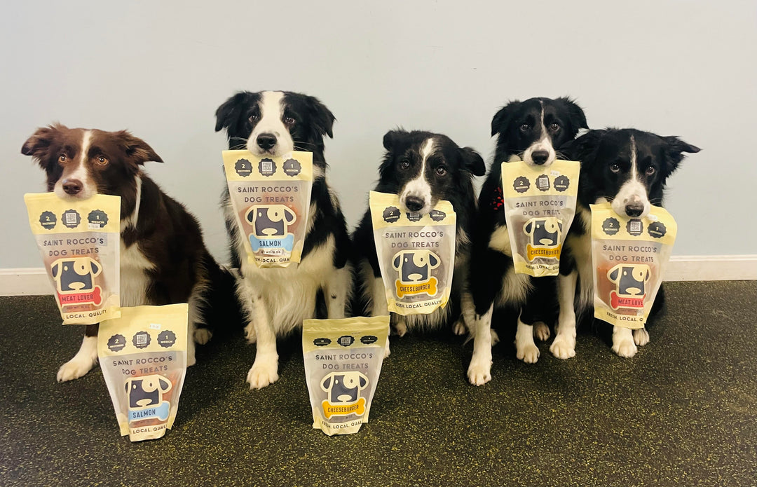 How to Use Treats to Train Your Dog Positively
