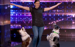 Alexandra Cote and Her Talented Dogs Deliver an Amazing Audition on America's Got Talent