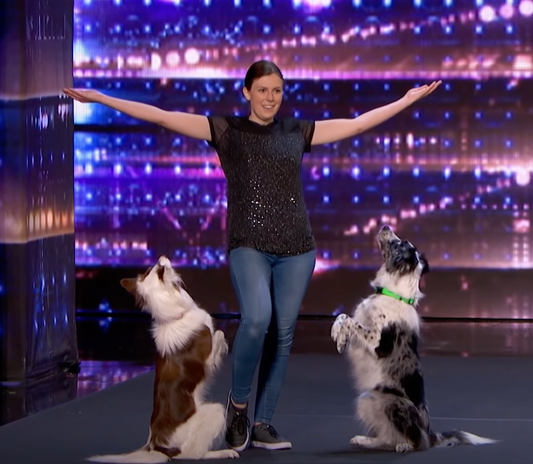 Alexandra Cote and Her Talented Dogs Deliver an Amazing Audition on America's Got Talent