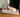 The Guide Dog Foundation: Radar and Anastasia