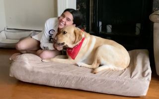 The Guide Dog Foundation: Radar and Anastasia