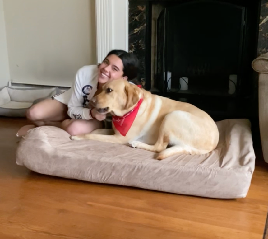 The Guide Dog Foundation: Radar and Anastasia