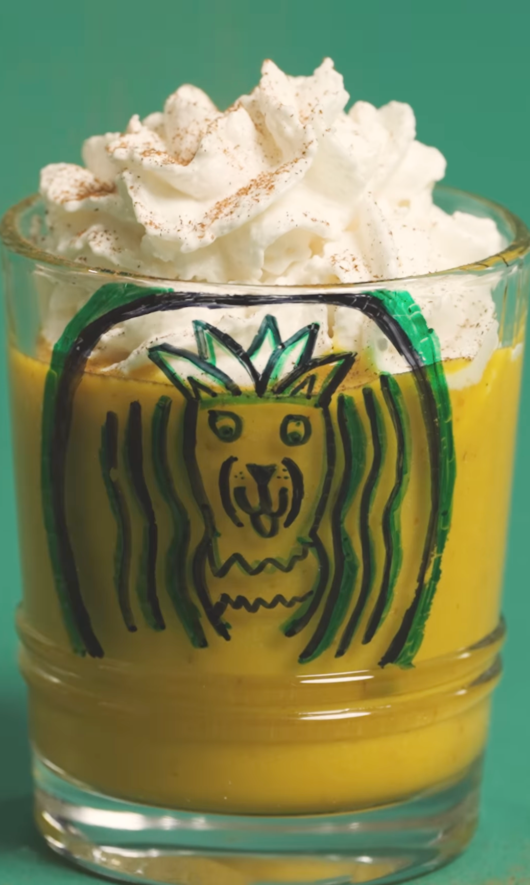 Dog Friendly Pumpkin Spice Latte!