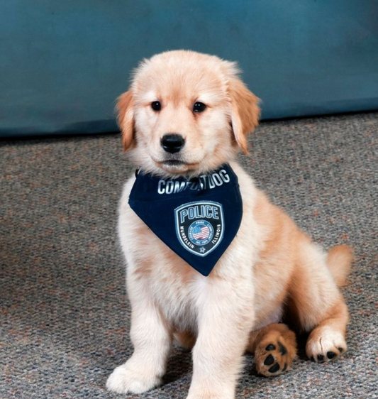 Millie The Comfort Dog Joins Mundelein Police Department