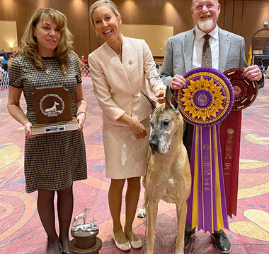 Big Barker Goes to the Great Dane Nationals with the Great Dane Club of America