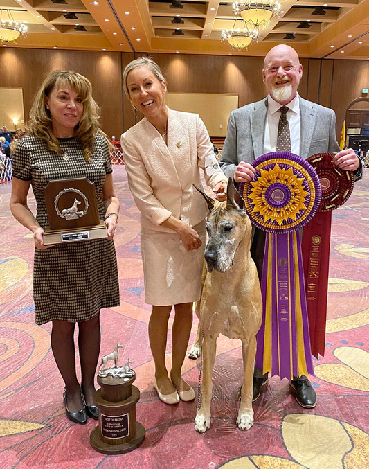 Big Barker Goes to the Great Dane Nationals with the Great Dane Club of America