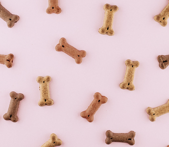 Spring Cleaning Your Dog's Diet for Improved Joint Health