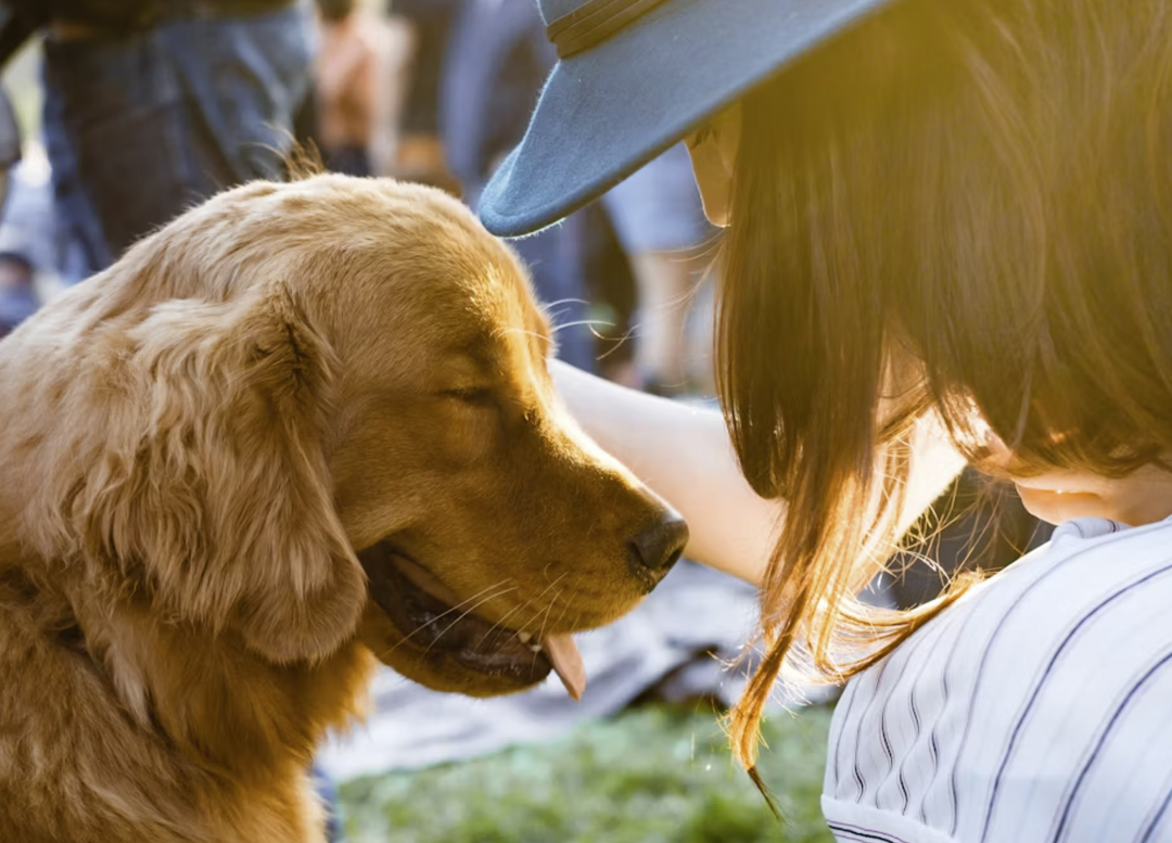 Canine Cuisine: Spring Recipes for Outdoor Picnics with Your Pup
