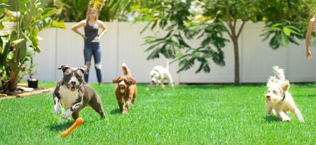 DIY Outdoor Doggy Play Spaces