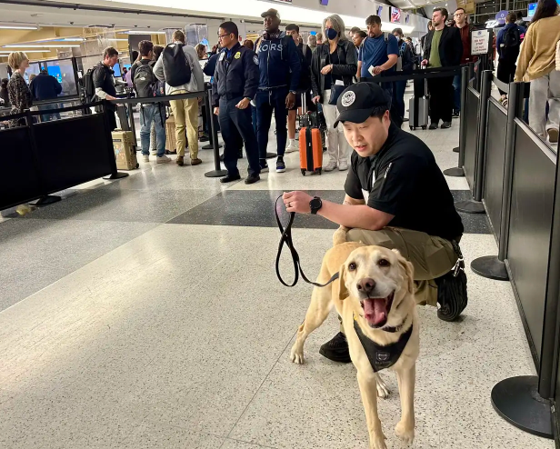 Professional Good Boy Loses His Mind At His Retirement Party
