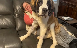 The Remarkable Transformation of Stu: From Abandoned to Adored