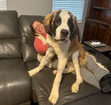 The Remarkable Transformation of Stu: From Abandoned to Adored