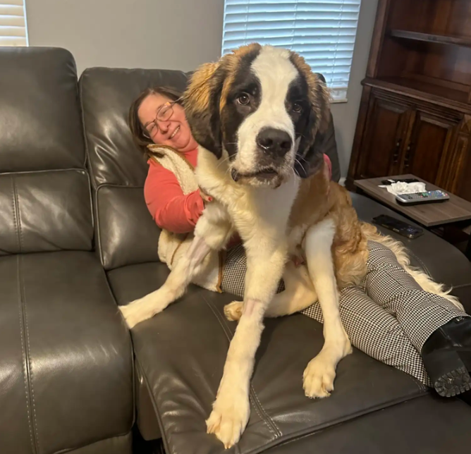 The Remarkable Transformation of Stu: From Abandoned to Adored