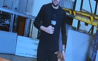 Rescued Dog Won’t Stop Hugging News Reporter On Live TV