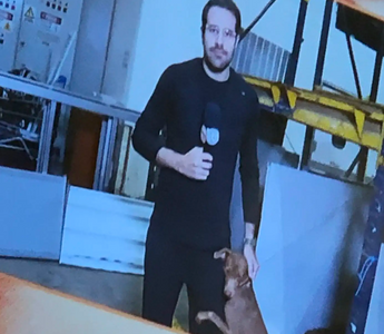 Rescued Dog Won’t Stop Hugging News Reporter On Live TV