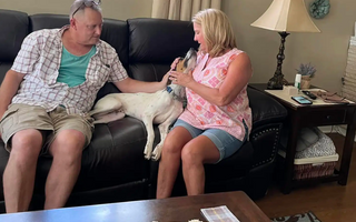 Shelter Pup Finds Joy in Loving Embrace on Adoption Day