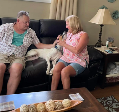 Shelter Pup Finds Joy in Loving Embrace on Adoption Day