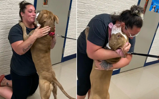Pittie Reunites With His Mom After 2 Years Apart