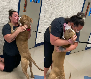 Pittie Reunites With His Mom After 2 Years Apart